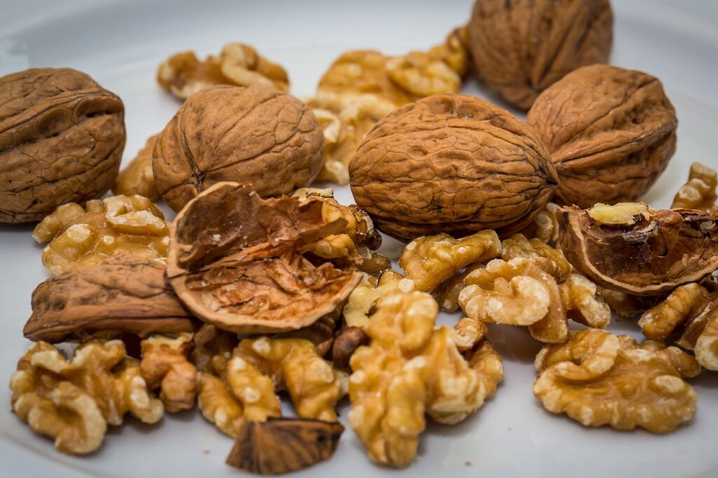 walnut, nut, walnuts, nuts, walnut, walnut, walnut, walnut, walnuts, walnuts, walnuts, walnuts, walnuts