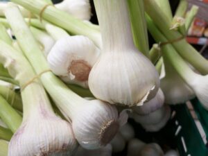 Close-up image of fresh organic garlic bulbs bunched together, showcasing texture and freshness.