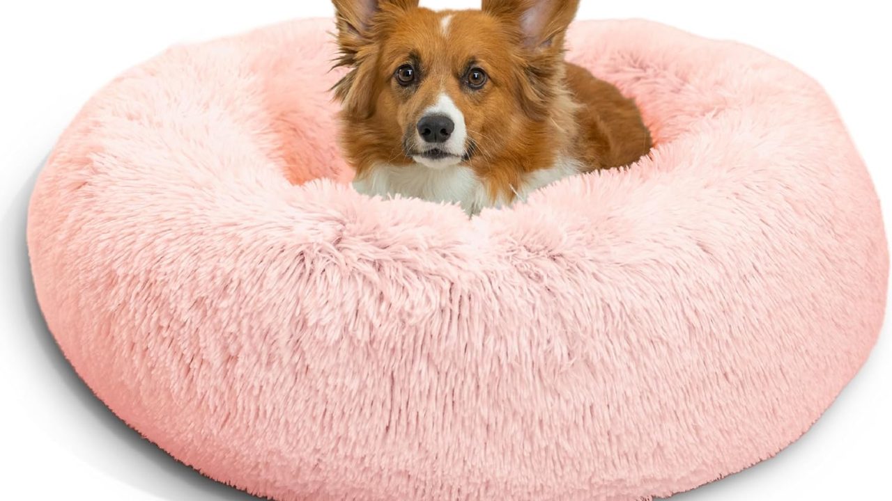 pink bed pink bed